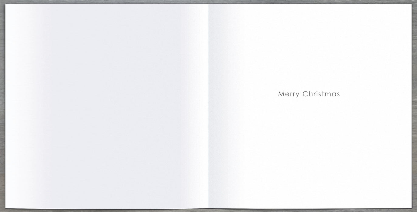 UKG 'Snow Cats' Christmas Card