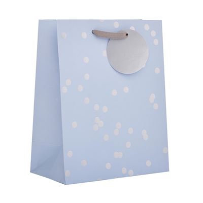 UKG Silver Holo Medium Gift Bag