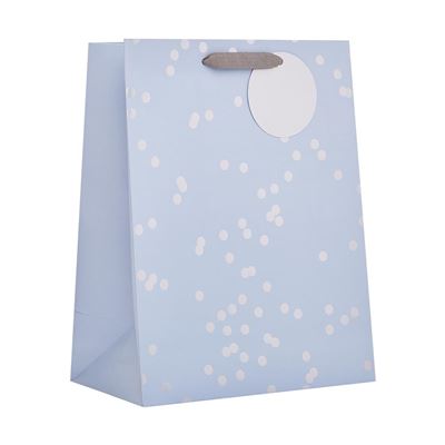 UKG Silver Holo Large Gift Bag
