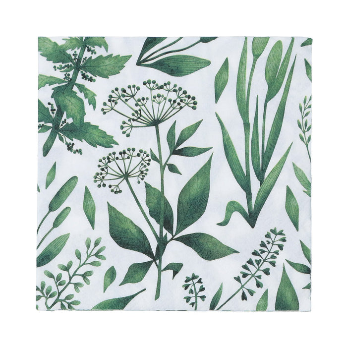 Gisela Graham Botanics Pack/20 Paper Napkins