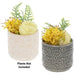 Two cylindrical ceramic planters shown side by side on a white background, each filled with decorative faux yellow flowers and green ferns. The left planter is off-white with an embossed floral pattern, and the right planter is gray with a matching embossed tree-like pattern.