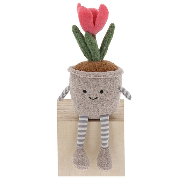 Pot Plant Pals Spring Flowers