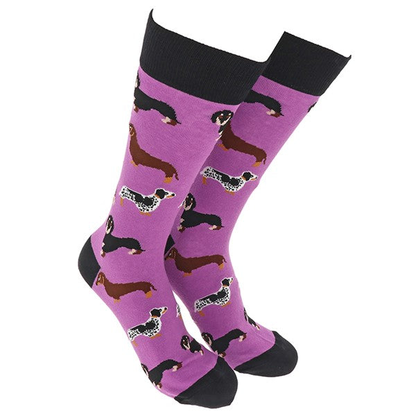 Sock Society Phase 14 Dachshund