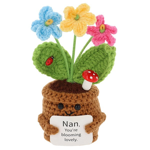 Crochet Smiley Pot Nan