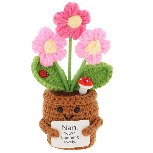 Crochet Smiley Pot Nan