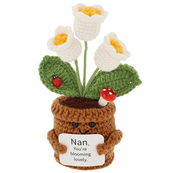 Crochet Smiley Pot Nan