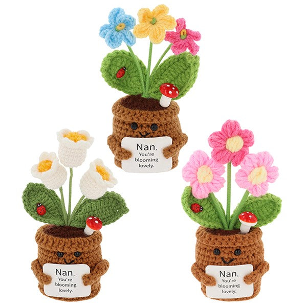 Crochet Smiley Pot Nan