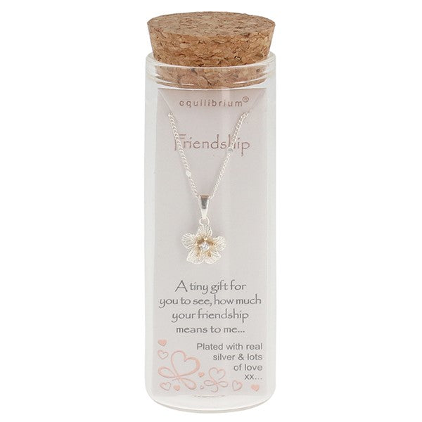 Equilibrium Girls Message In A Bottle Silver Plated Necklace Friendship