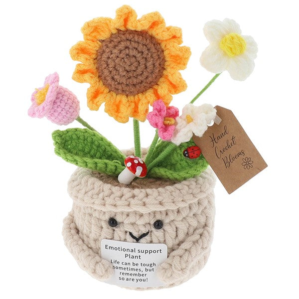 Crochet Smiley Pot Mixed Large