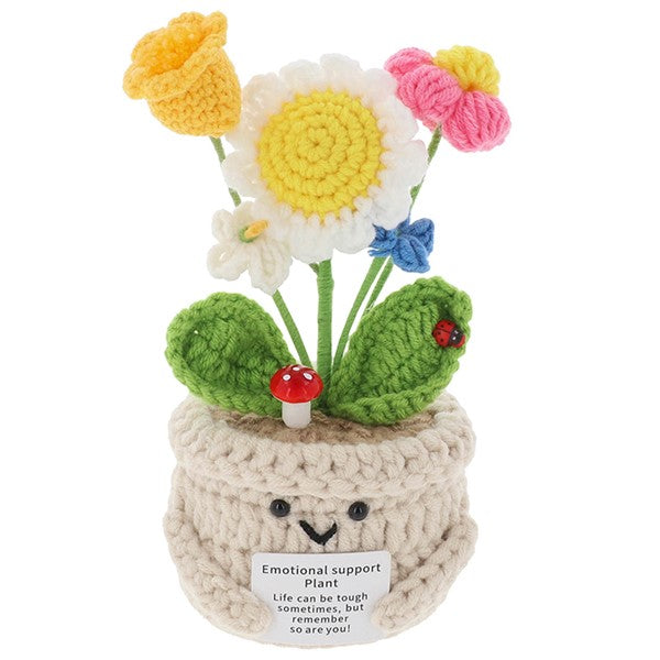 Crochet Smiley Pot Mixed Large
