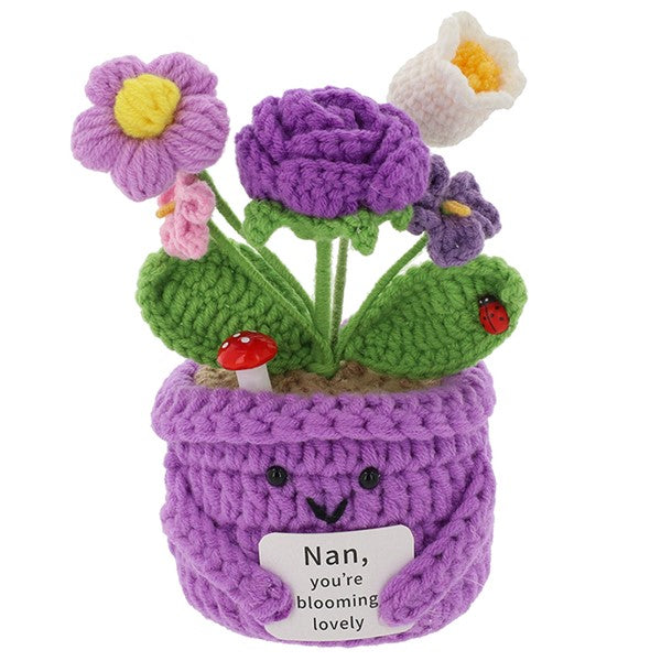 Crochet Smiley Pot Nan Large