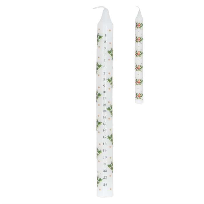Gisela Graham Robin & Oak Advent Candle