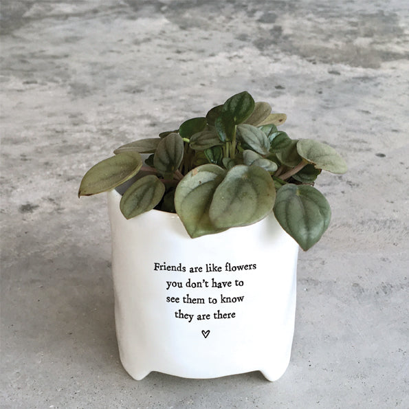 East of India Planter Friends Are Like Flowers