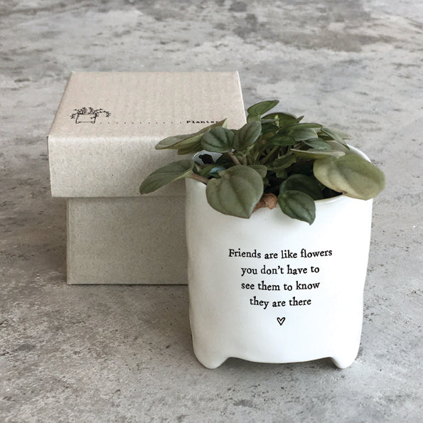 East of India Planter Friends Are Like Flowers