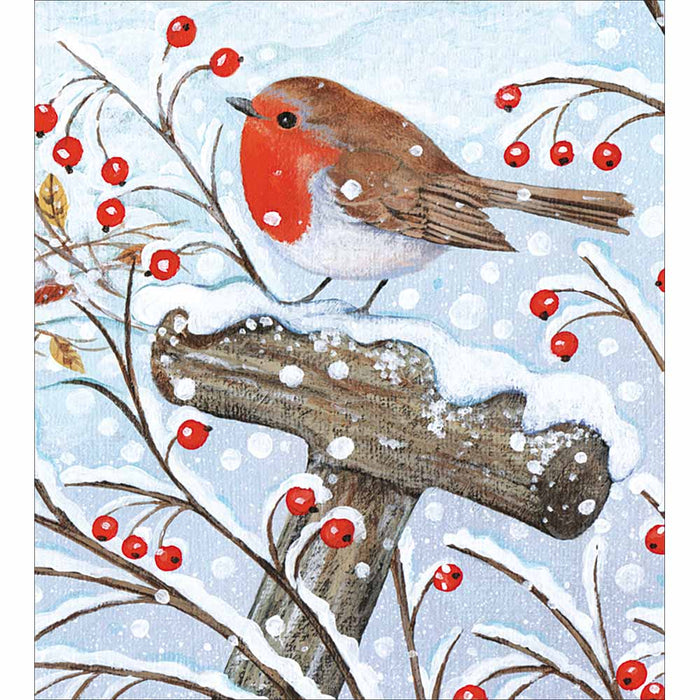 Woodmansterne Red Robin 5 Pack Christmas Cards