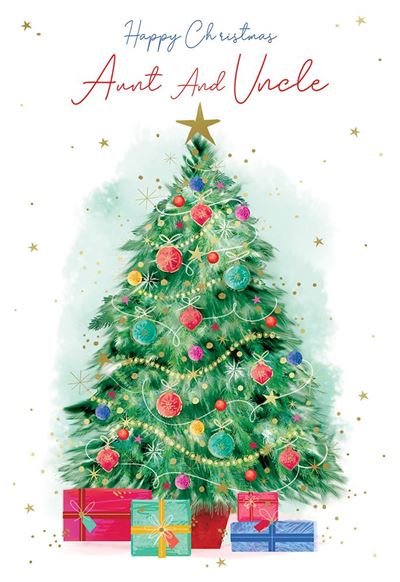 Kingfisher 'Happy Christmas Aunt And Uncle' Christmas Card