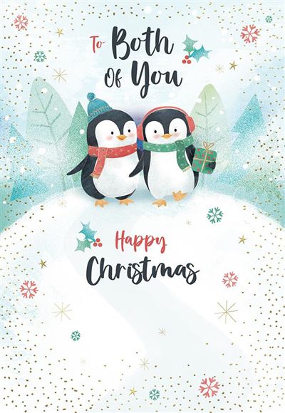Kingfisher 'To Both Of You Happy Christmas' Christmas Card