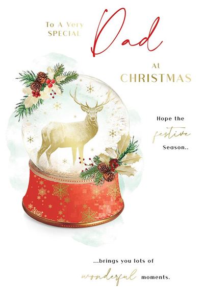 Kingfisher 'To A Very Special Dad' Christmas Card