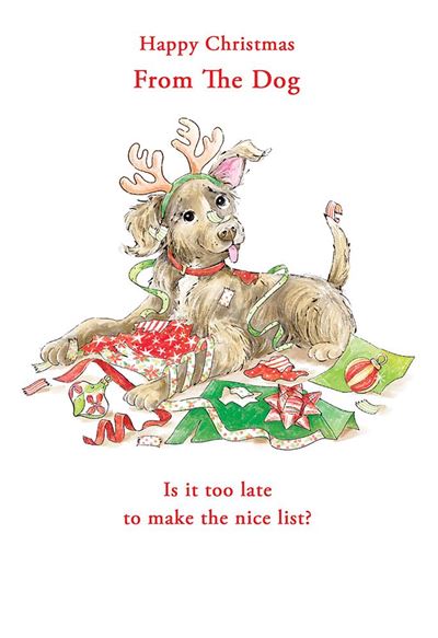 Kingfisher 'Happy Christmas From The Dog' Christmas Card