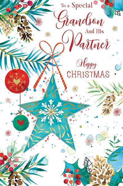 Kingfisher 'To A Special Grandson & Partner' Christmas Card
