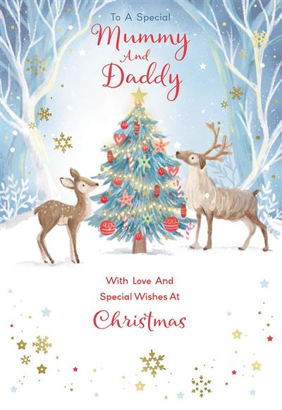 Kingfisher 'To A Special Mum & Dad' Christmas Card
