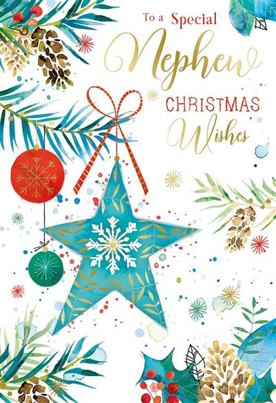 Kingfisher 'To A Special Nephew' Christmas Card