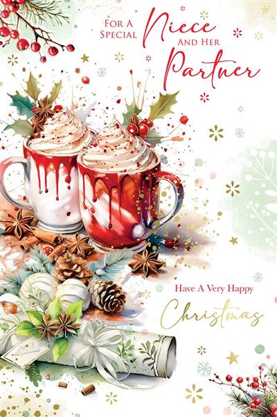 Kingfisher 'For A Special Niece And Her Partner' Christmas Card