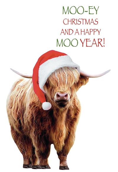 Kingfisher 'Moo-ey Christmas And A Happy New Year' Christmas Card