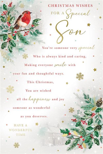 Kingfisher 'For A Special Son' Christmas Card