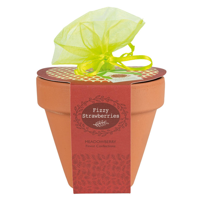 Terracotta Flower Pot With Fizzy Strawberries