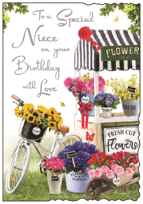 Jonny Javelin 'To A Special Niece' Birthday Card
