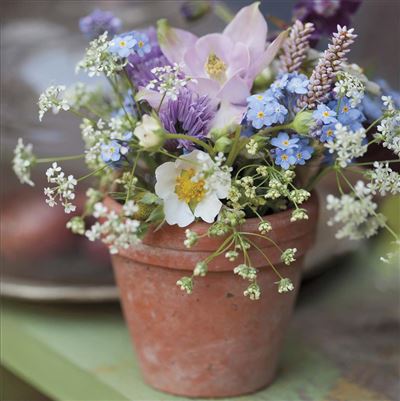 UKG 'Camden Flower Pots' Open Card