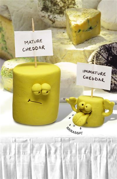 UKG 'Mature/Immature Cheddar' Birthday Card