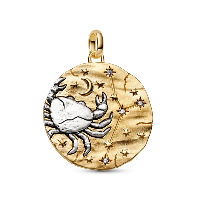 Pandora Cancer Zodiac Oversized Medallion Charm 14k Gold Plating And Sterling Silver