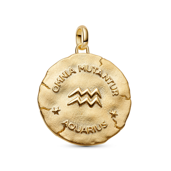 Pandora Aquarius Zodiac Oversized Medallion Charm 14k Gold Plating And Sterling Silver