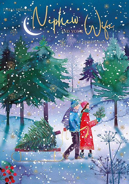 Words N Wishes 'For A Special Nephew And Your Wife' Christmas Card