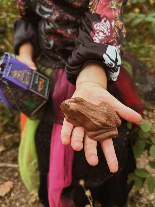 The Chocolate Gift Company Magic Frogs