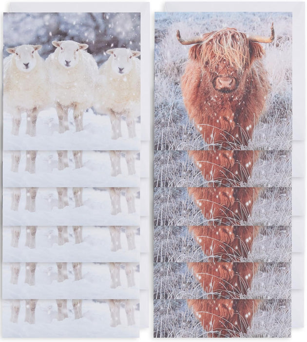 UKG 'Open Cards' Christmas Card Boxed Pack Of 12