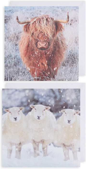 UKG 'Open Cards' Christmas Card Boxed Pack Of 12