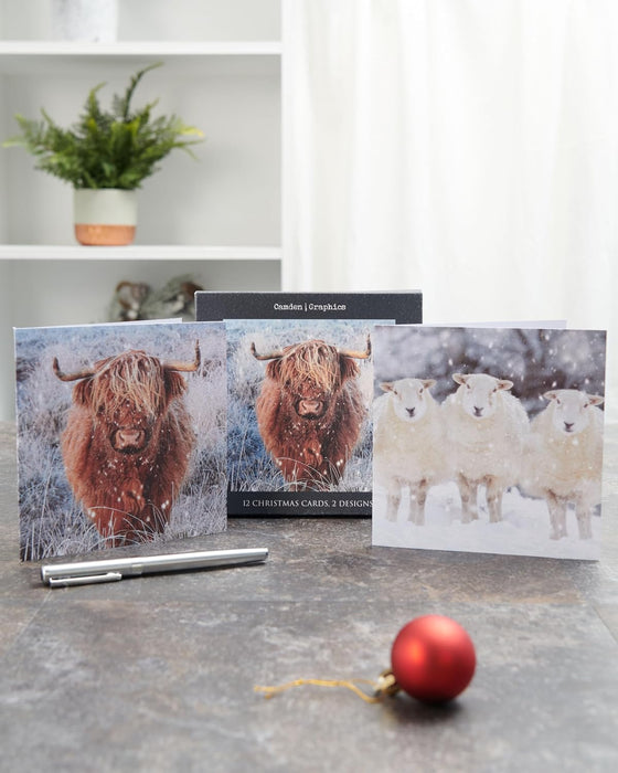 UKG 'Open Cards' Christmas Card Boxed Pack Of 12