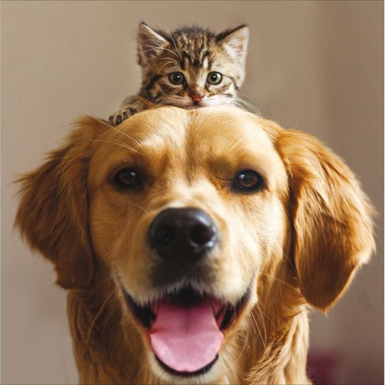 Woodmansterne 'Best Friends' Open Card