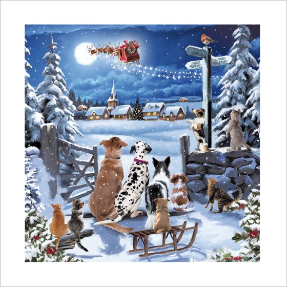 Woodmansterne 'Waiting for Santa' Christmas Card