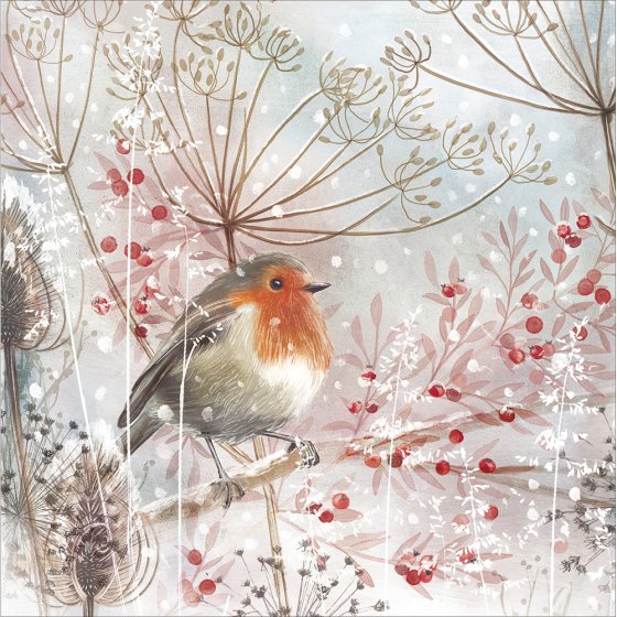 Woodmansterne 'Sweet Robin' Christmas Card