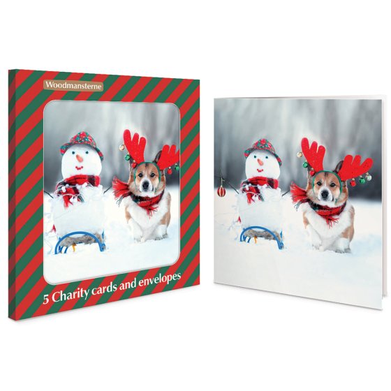 Woodmansterne 'Snowman & Friends' Christmas 5 Card Box