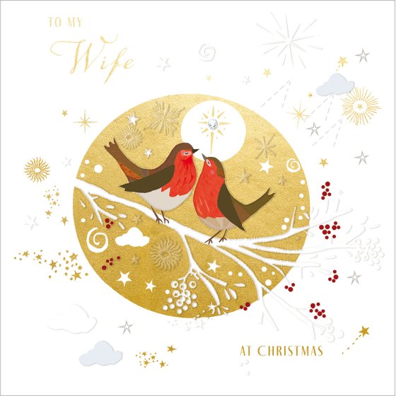 Woodmansterne 'Special Nights To My Wife' Christmas Card