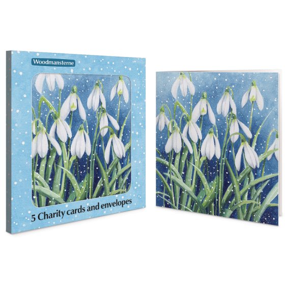 Woodmansterne 'Winter Wonder' Christmas 5 Card Box