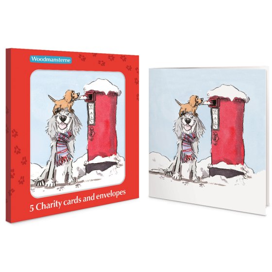 Woodmansterne 'Special Delivery' Christmas 5 Card Box