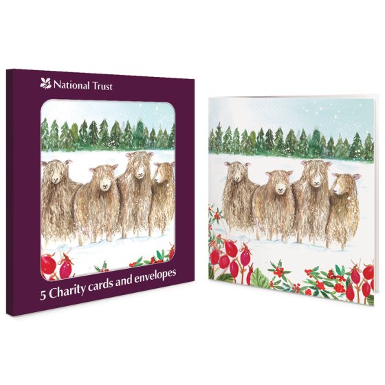 Woodmansterne 'Sheep' Christmas 5 Card Box