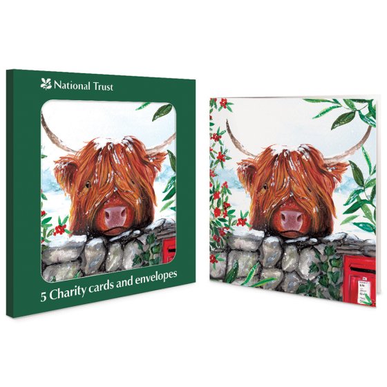 Woodmansterne 'Highland Cow' Christmas 5 Card Box