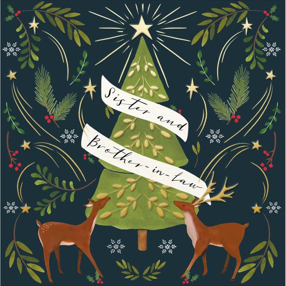 Woodmansterne 'Sister & Brother In Law Magical Times' Christmas Card
